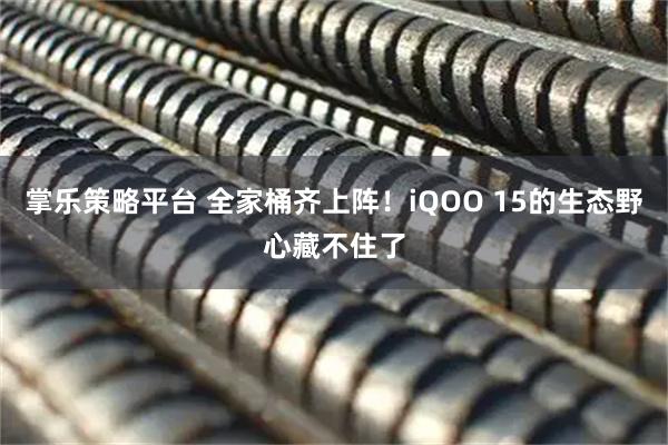 掌乐策略平台 全家桶齐上阵！iQOO 15的生态野心藏不住了