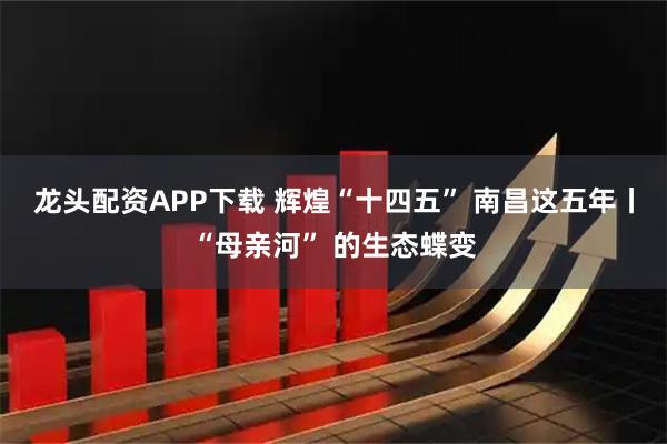 龙头配资APP下载 辉煌“十四五” 南昌这五年丨“母亲河” 的生态蝶变