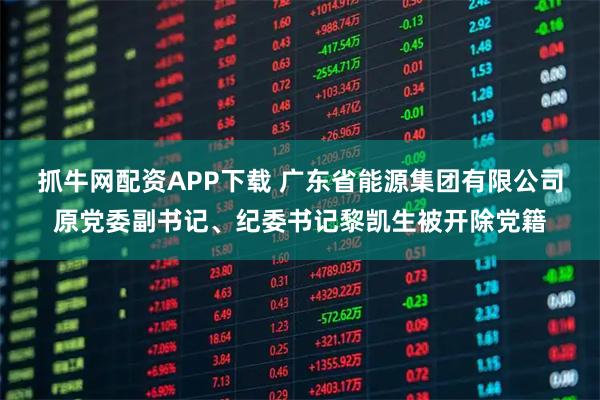 抓牛网配资APP下载 广东省能源集团有限公司原党委副书记、纪委书记黎凯生被开除党籍